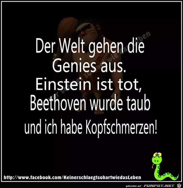 Der Welt gehen die Genies aus Der Welt gehen die Genies aus