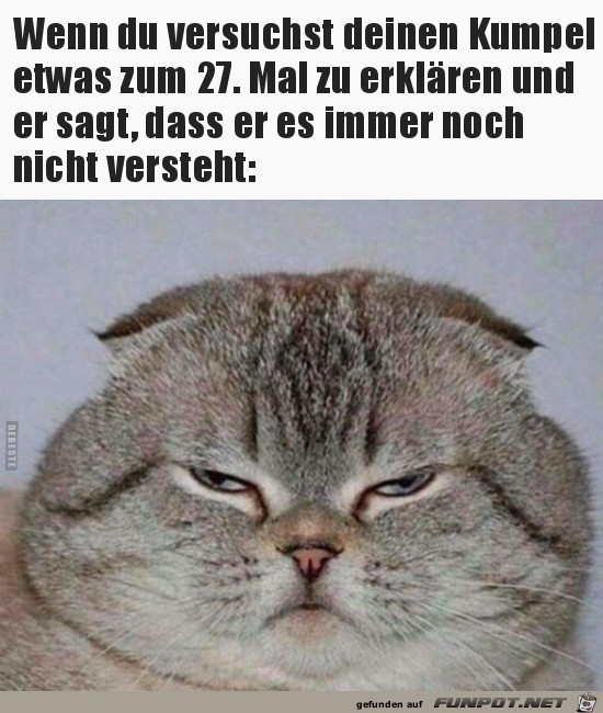 Meine Güte ist der doof Meine Güte ist der doof