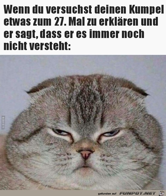 witzige Bilder aus verschiedenen Blogs