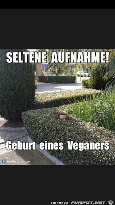 Seltene Aufnahme