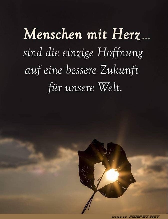10 sch�ne Spr�che und Lebensweisheiten aus...