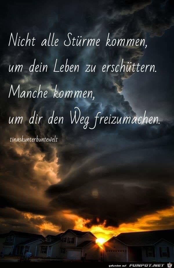 nicht alle Stürme nicht alle Stürme