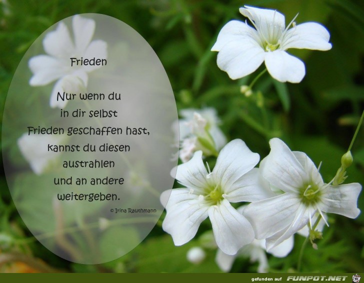 Nur wenn du in dir selbst Frieden geschaffen hast Nur wenn du in dir selbst Frieden geschaffen hast