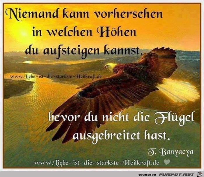 niemand kann vorhersehen niemand kann vorhersehen
