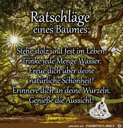 Ratschlaege eines Baumes Ratschlaege eines Baumes