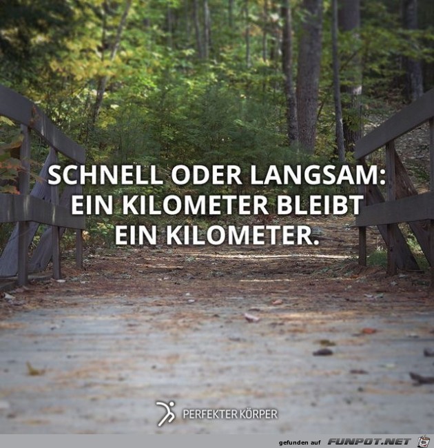 schnell oder langsam schnell oder langsam