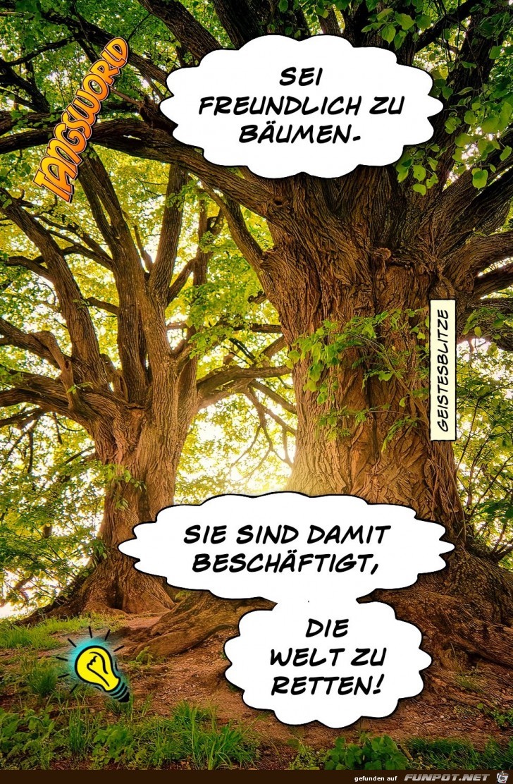sei freundlich zu Baeumen sei freundlich zu Baeumen