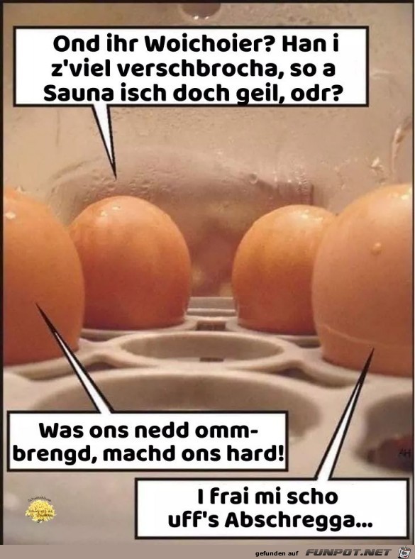 Im Eier-Kocher Im Eier-Kocher