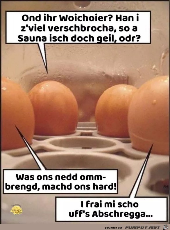 Im Eier-Kocher