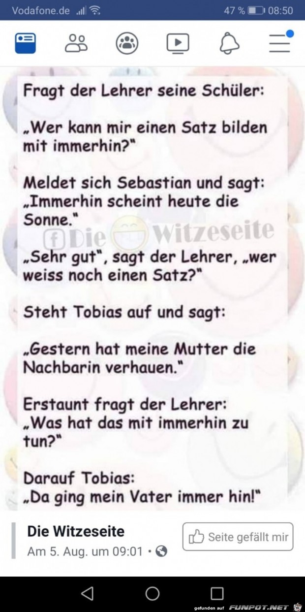 Immerhin Immerhin