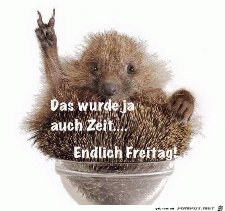 Freitag Freitag