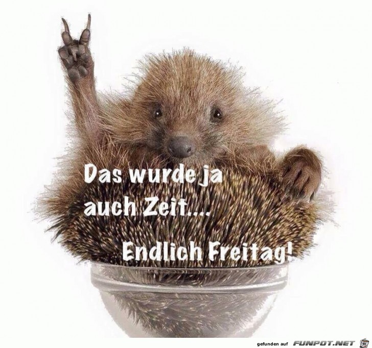 Freitag