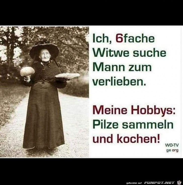 6 fache Witwe sucht... 6 fache Witwe sucht...