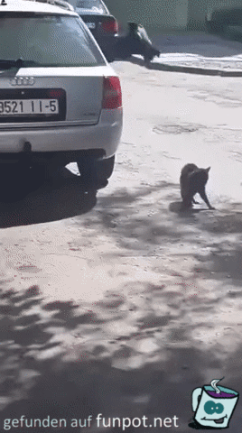 Keine Chance auf Streitschlichtung Keine Chance auf Streitschlichtung