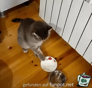 Die Schüssel ist leer Die Schüssel ist leer