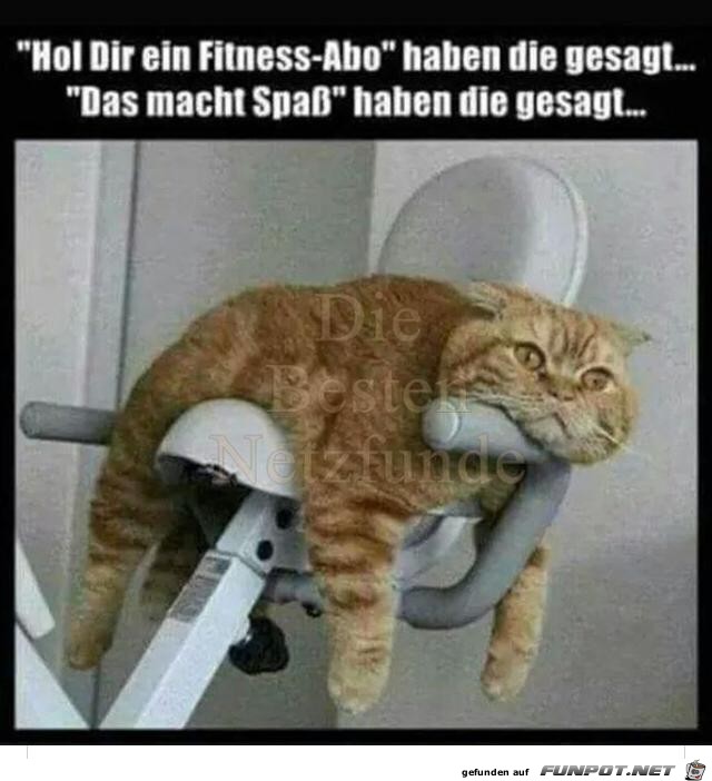 Fitness Abo