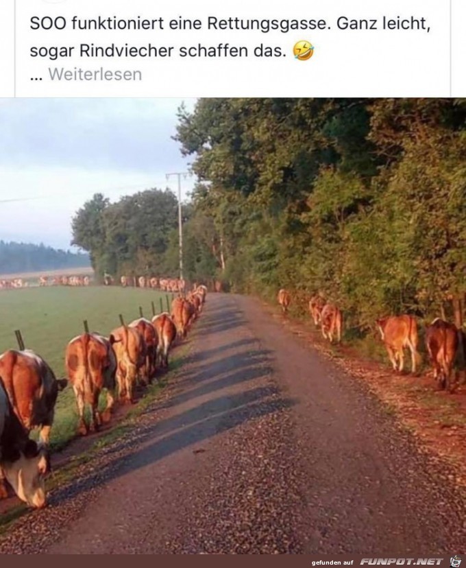 Rettungsgasse Rettungsgasse