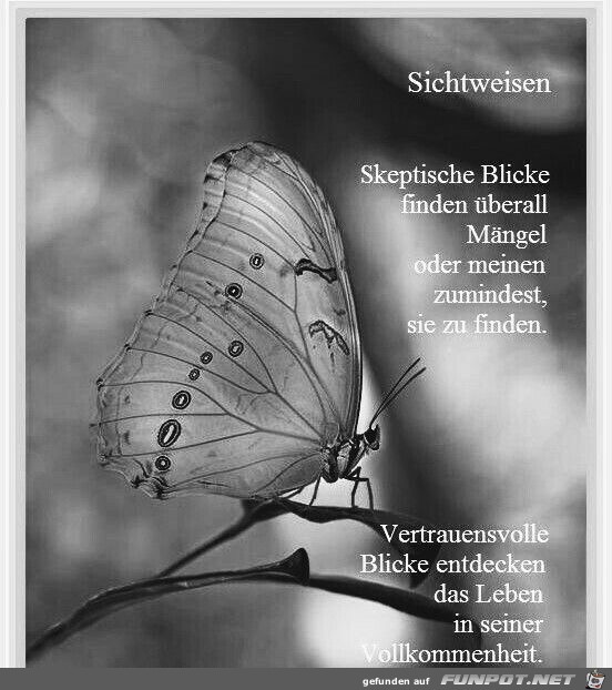 Skeptische Blicke Skeptische Blicke