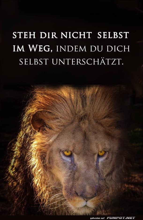 10 schöne Sprüche und Lebensweisheiten aus... 10 schöne Sprüche und Lebensweisheiten aus...