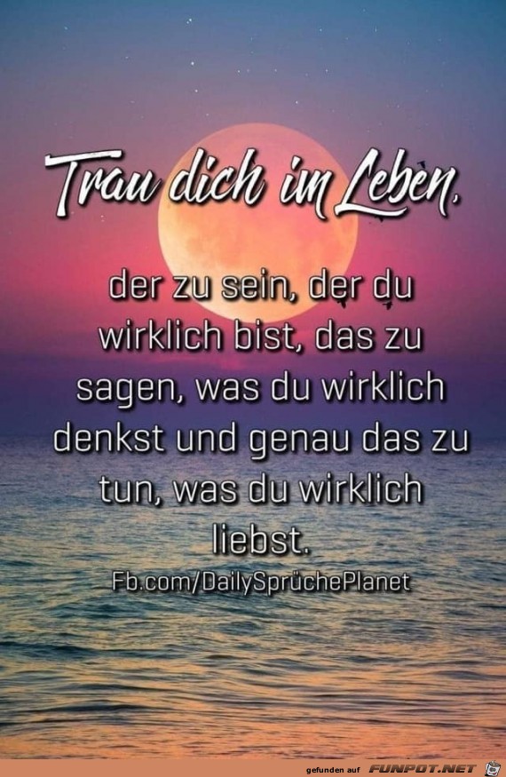 trau dich im leben