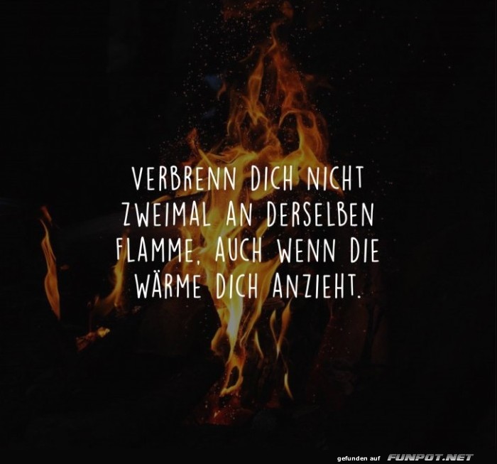 10 schöne Sprüche und Lebensweisheiten aus... 10 schöne Sprüche und Lebensweisheiten aus...