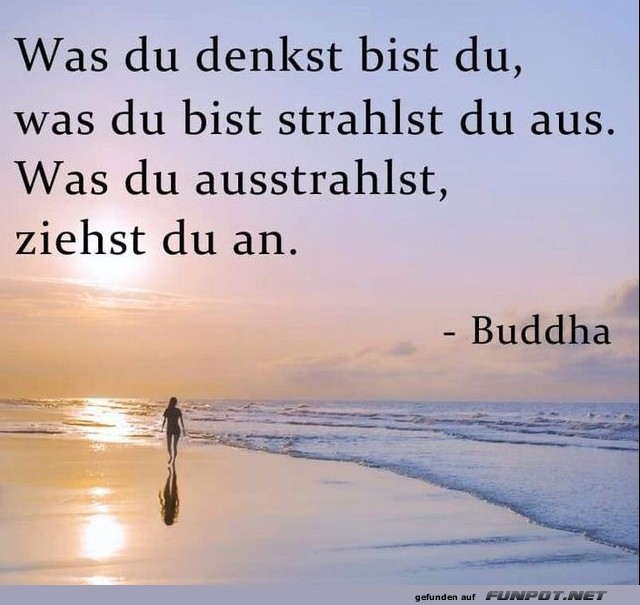 10 schöne Sprüche und Lebensweisheiten aus... 10 schöne Sprüche und Lebensweisheiten aus...