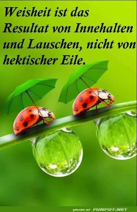 10 schöne Sprüche und Lebensweisheiten aus... 10 schöne Sprüche und Lebensweisheiten aus...