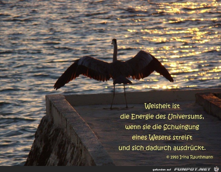 weisheit ist die energie