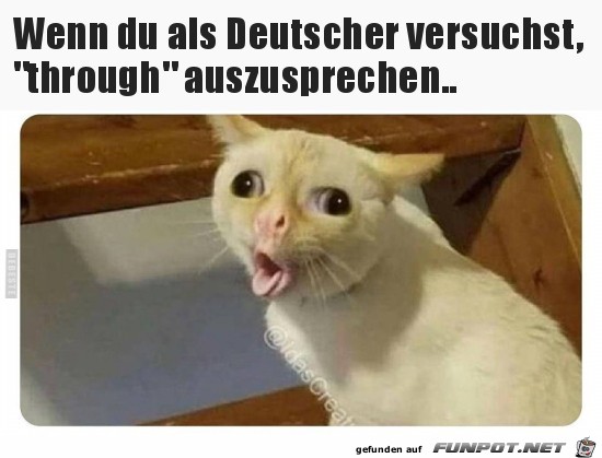 Das ist ein Zungenbrecher