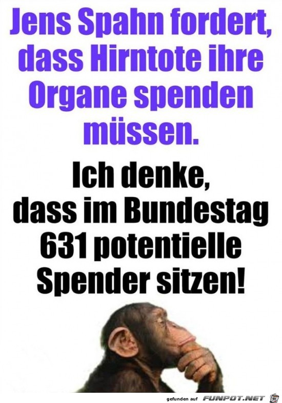 Organspende