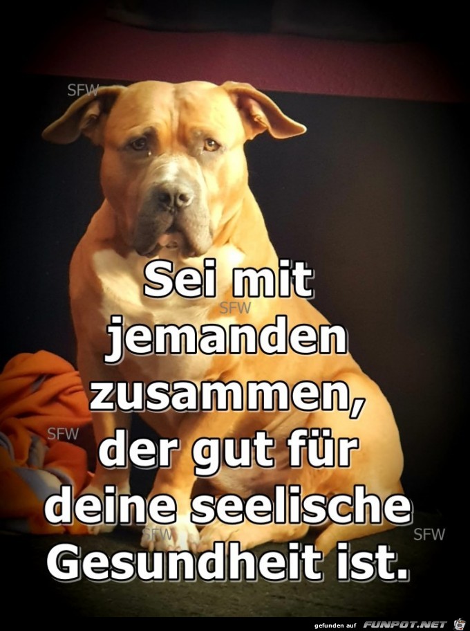 Sei mit jemanden Sei mit jemanden