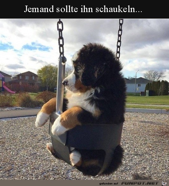 Schaukelt mich Schaukelt mich