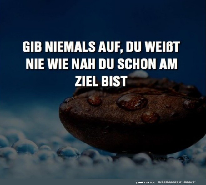 10 schöne Sprüche und Lebensweisheiten aus... 10 schöne Sprüche und Lebensweisheiten aus...