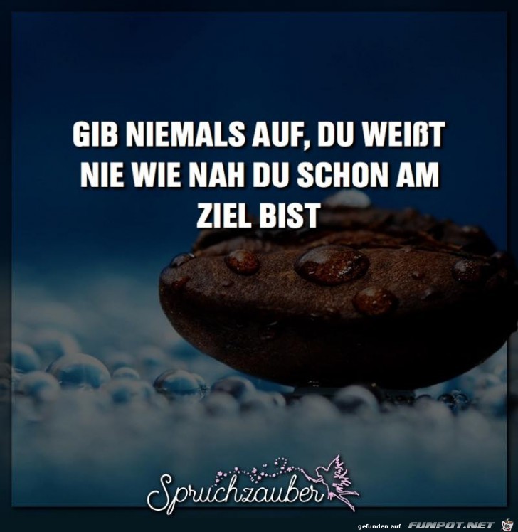 Gib niemals auf