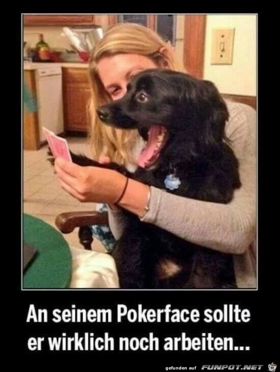 an seinem pokerface