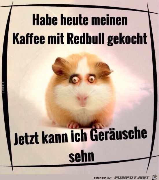 hab heute meinen kaffee