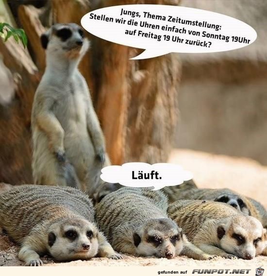 Jungs Thema Zeitumstellung Jungs Thema Zeitumstellung
