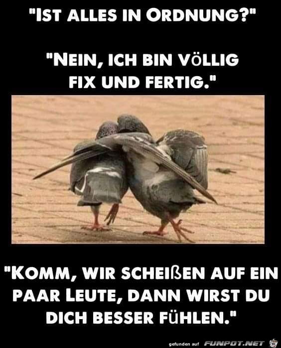 ist alles in ordnung ist alles in ordnung