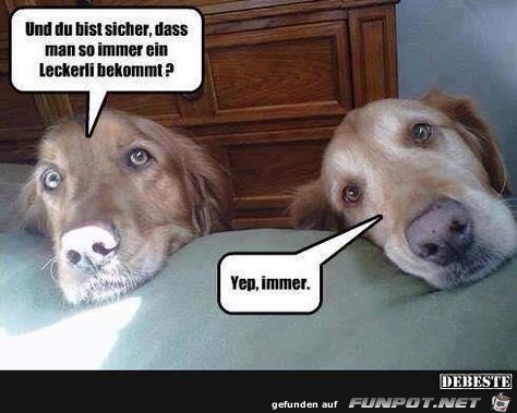 und du bist sicher und du bist sicher