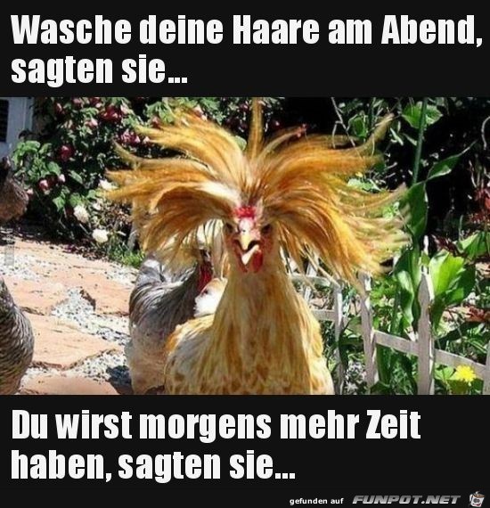 wasche deine haare