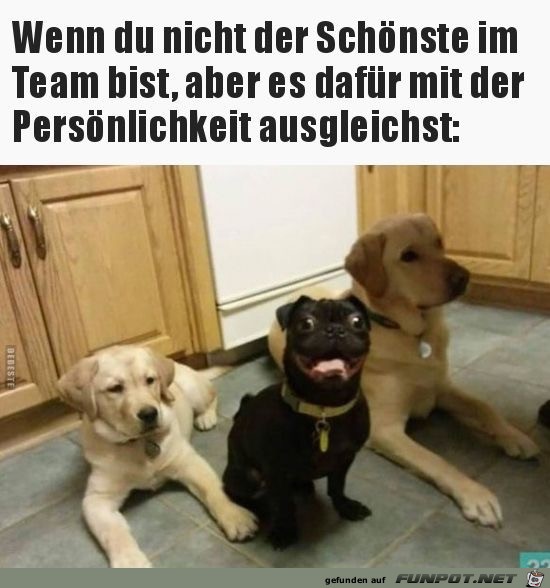 wenn du nicht der schoenste im team bist