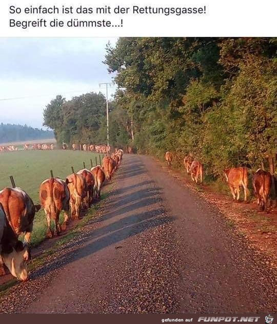 so einfach so einfach
