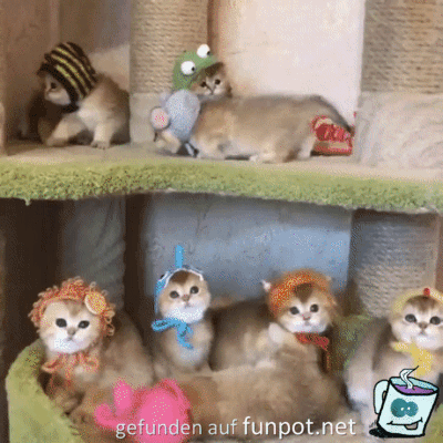 Total niedlich Total niedlich