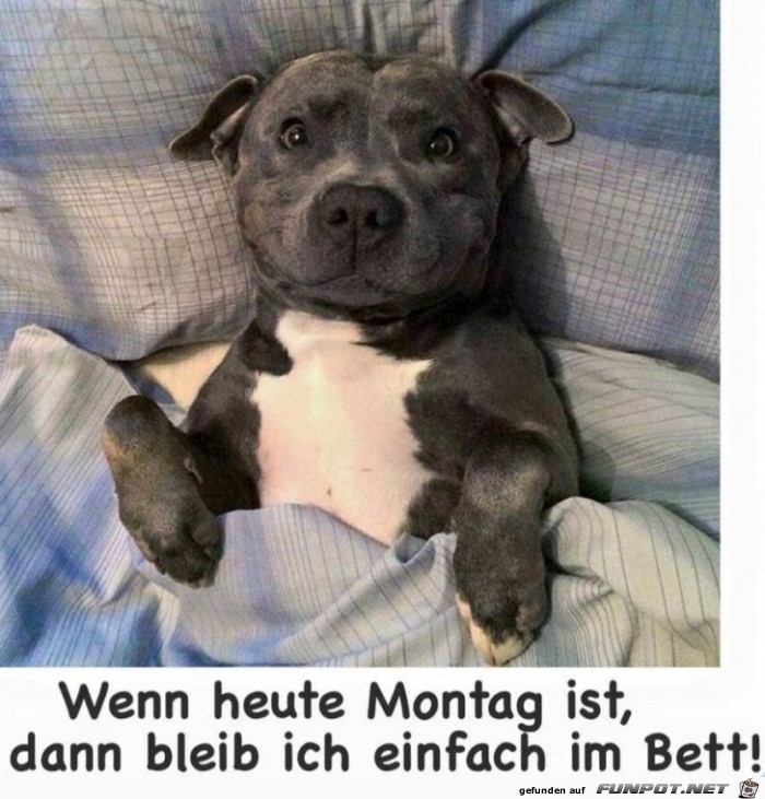 Ich bleib liegen