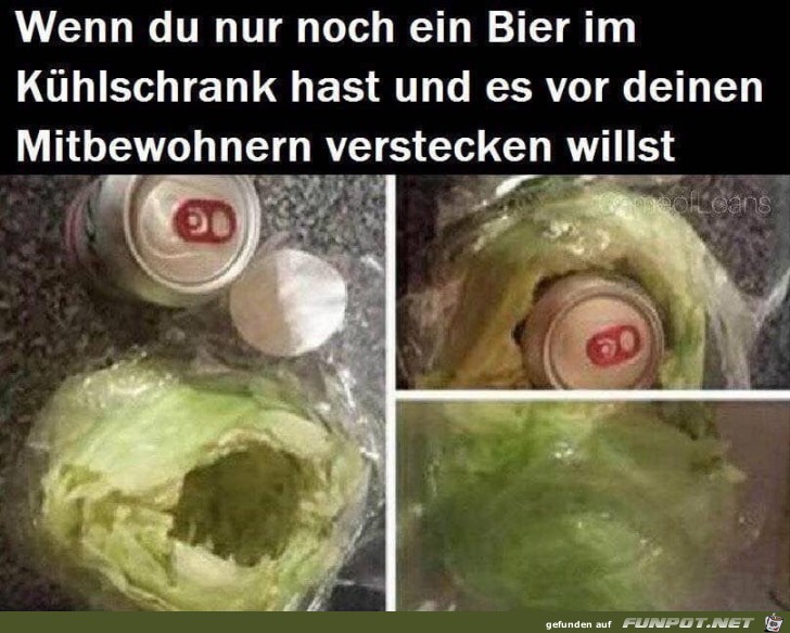 Super Versteck Super Versteck