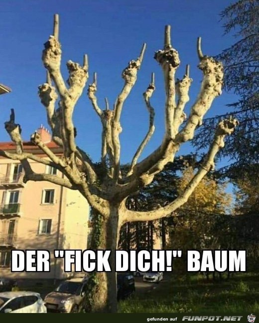 Der F...Baum