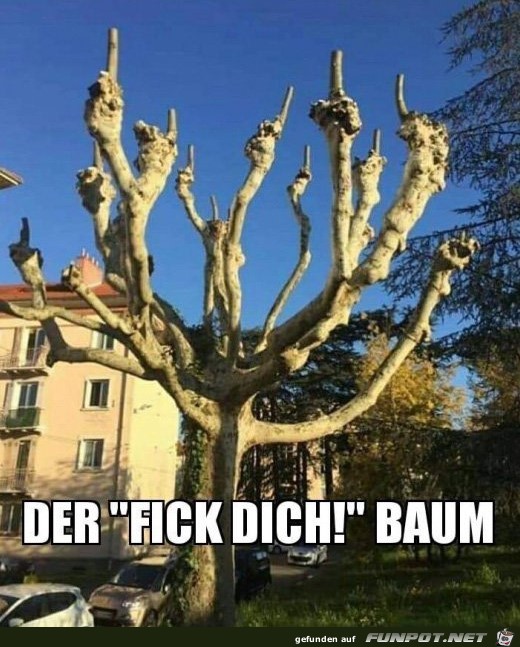 Der F...Baum Der F...Baum