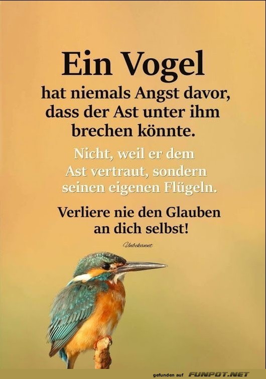10 schöne Sprüche und Lebensweisheiten aus... 10 schöne Sprüche und Lebensweisheiten aus...