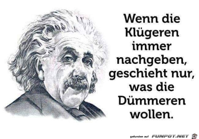 wenn die kluegeren wenn die kluegeren
