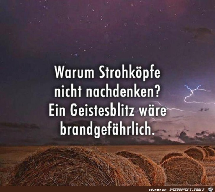 Strohkopf Strohkopf
